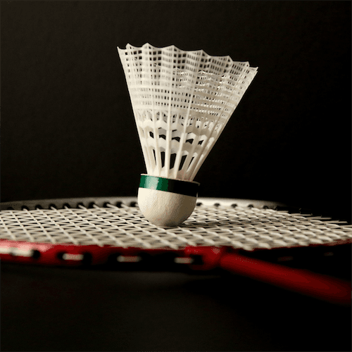 Badminton & Brekkie